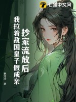 抄家流放后，我拉着敌国皇子假成亲